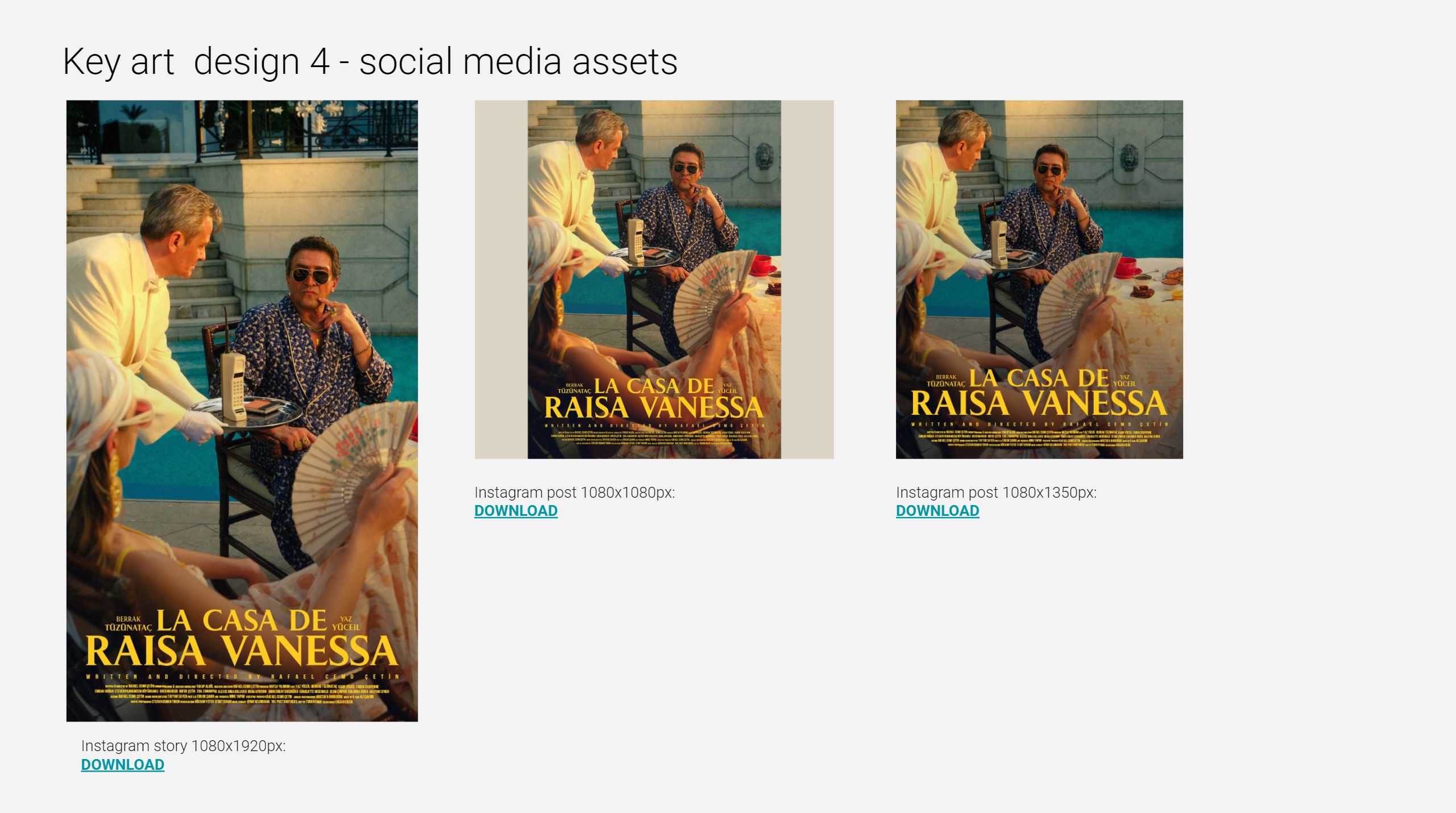 raisa-presentation-c