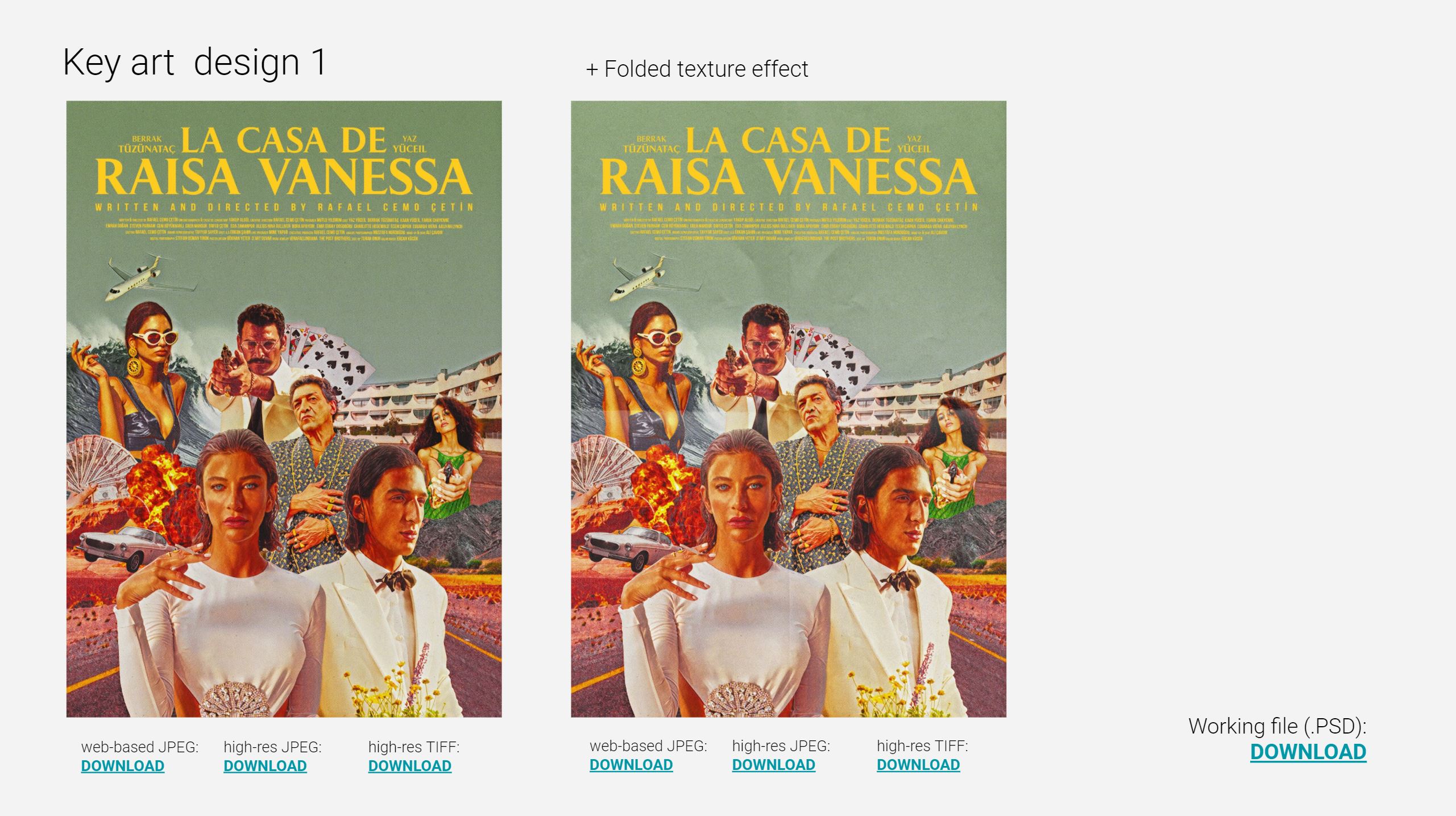 raisa-presentation-e